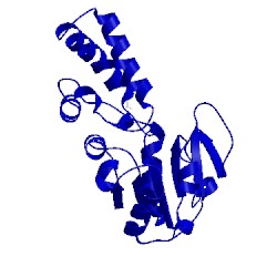 Image of CATH 4ygq