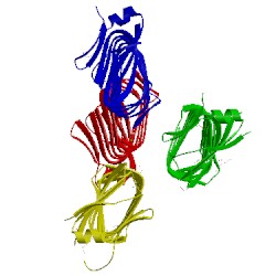 Image of CATH 4ygu