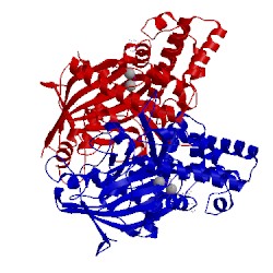 Image of CATH 4yh5