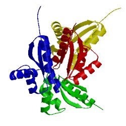 Image of CATH 4yjm