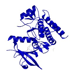 Image of CATH 4yjp