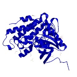 Image of CATH 4yll
