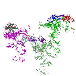 Image of CATH 4ylo