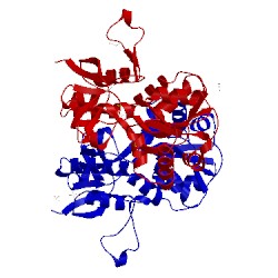 Image of CATH 4yma