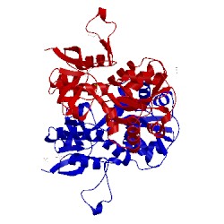 Image of CATH 4yma