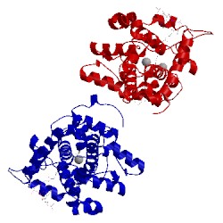 Image of CATH 4ymk