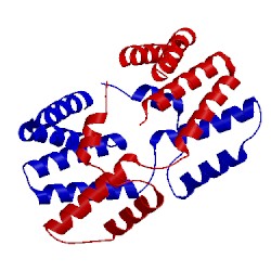 Image of CATH 4ymr