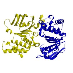 Image of CATH 4ymt