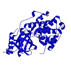 Image of CATH 4yno