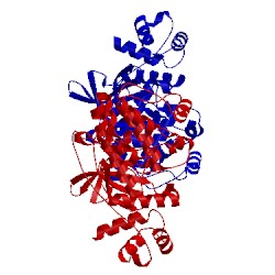 Image of CATH 4ynz