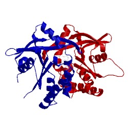 Image of CATH 4yp1