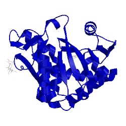 Image of CATH 4yp2