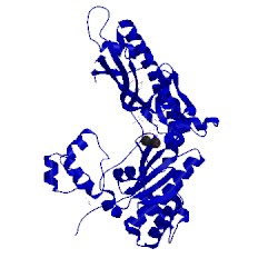 Image of CATH 4yp3