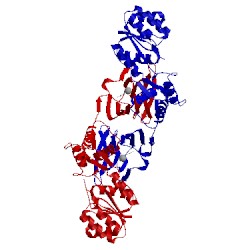 Image of CATH 4yrd