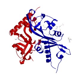 Image of CATH 4yrh