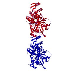 Image of CATH 4yrp