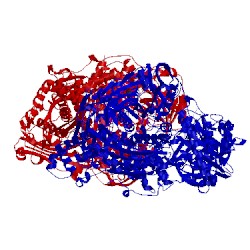 Image of CATH 4yty