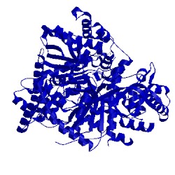 Image of CATH 4yua