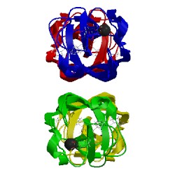 Image of CATH 4yw6