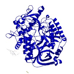 Image of CATH 4yxd