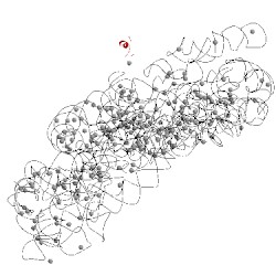 Image of CATH 4yy3