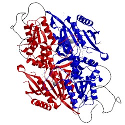 Image of CATH 4yye