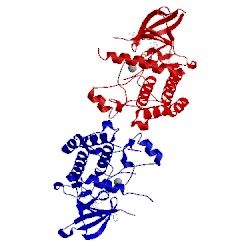 Image of CATH 4yzm
