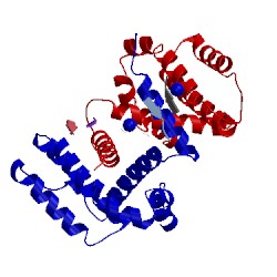 Image of CATH 4z9v