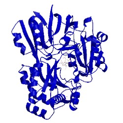 Image of CATH 4zed