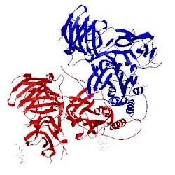 Image of CATH 4zel