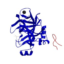 Image of CATH 4zh8