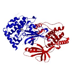 Image of CATH 4zk5