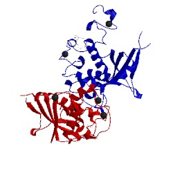 Image of CATH 4zlp