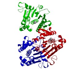 Image of CATH 4znl