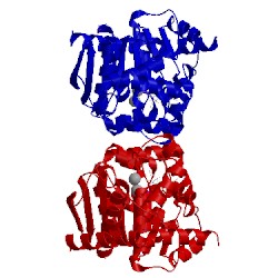 Image of CATH 4zoj