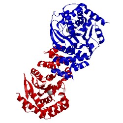 Image of CATH 4zok