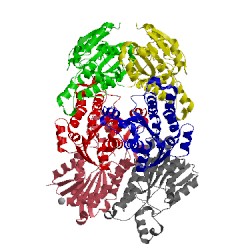 Image of CATH 4zu3