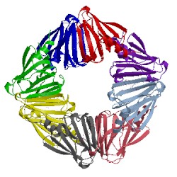 Image of CATH 4zu7