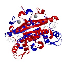 Image of CATH 4zvm