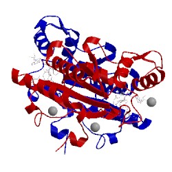 Image of CATH 4zvn