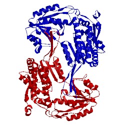 Image of CATH 4zvx