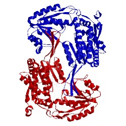 Image of CATH 4zvy