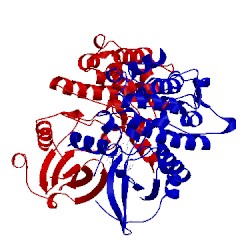 Image of CATH 4zy5