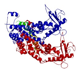 Image of CATH 5a21