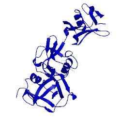 Image of CATH 5a2e