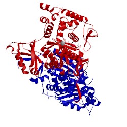 Image of CATH 5a2w