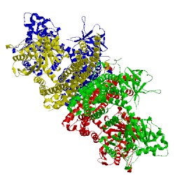 Image of CATH 5a3f