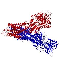 Image of CATH 5a3s