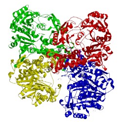 Image of CATH 5a4j