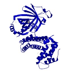 Image of CATH 5a61